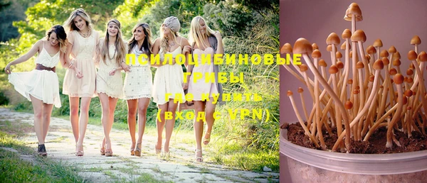винт Алексин