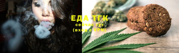 СК Алзамай